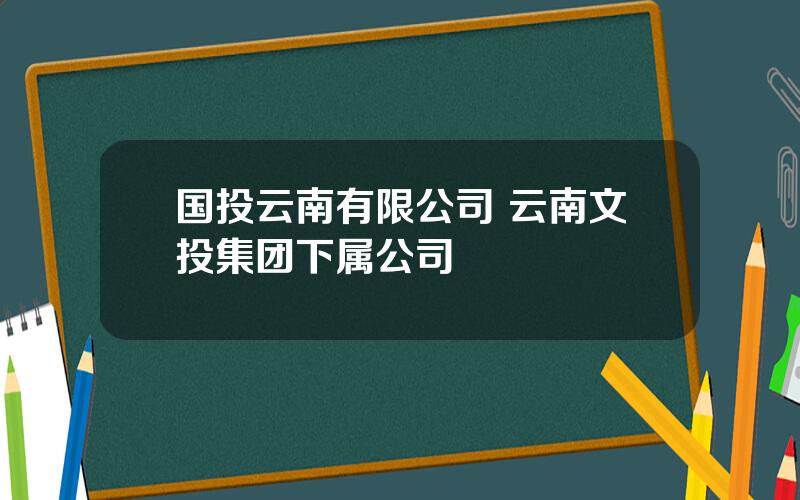 国投云南有限公司 云南文投集团下属公司